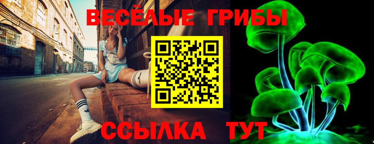 Галлюциногенные грибы прущие грибы Владивосток